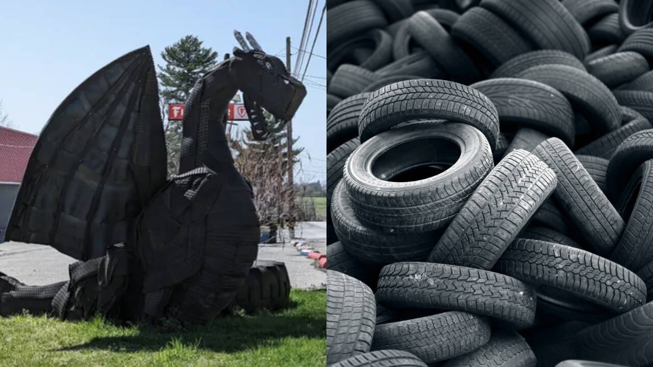 US Craftsman Transforms Scrap Tyres Into Award-Winning Dragon Sculpture
