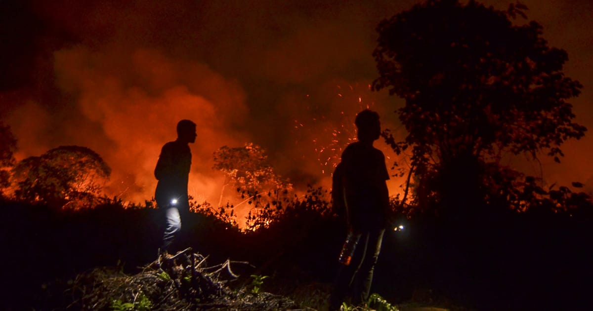 Jerebu Indonesia Tingkatkan Pencemaran Udara Singapura, Tutup Sekolah Timor Leste