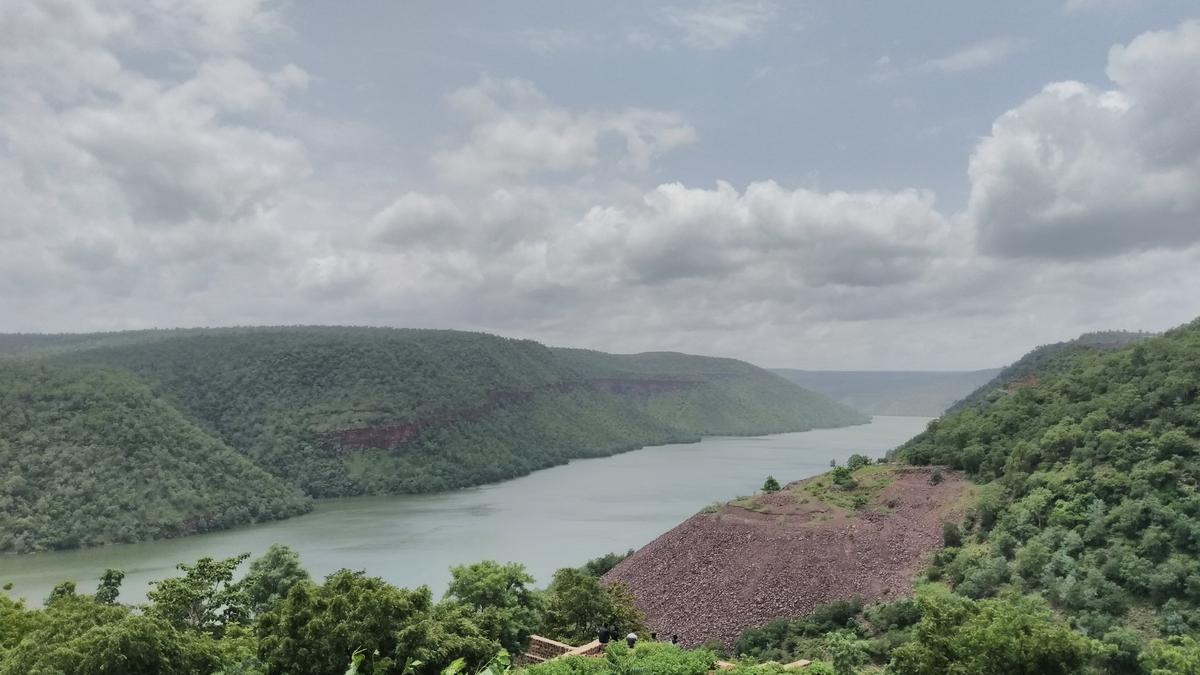नदियों को जोड़ने वाली परियोजना से आक्रामक प्रजातियों का खतरा