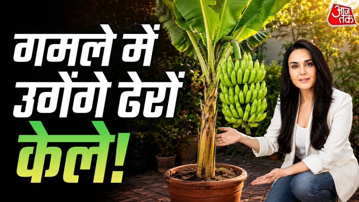 Bollywood Star Shares Tips for Growing Bananas at Home
