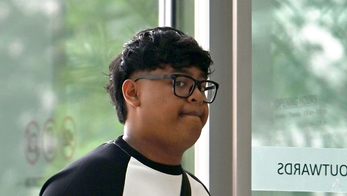 Young motorcyclist handed probation for risky stunt on expressway