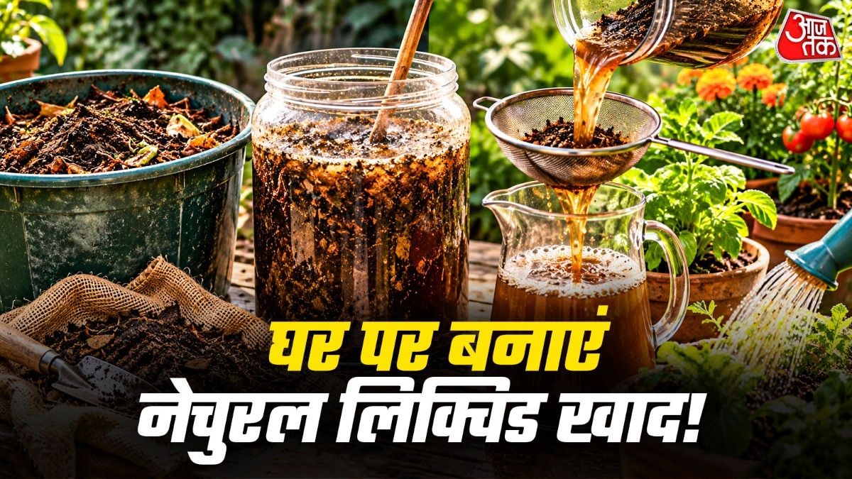 घर पर बनाएं कंपोस्ट टी, पौधों को मिलेगा तुरंत पोषण