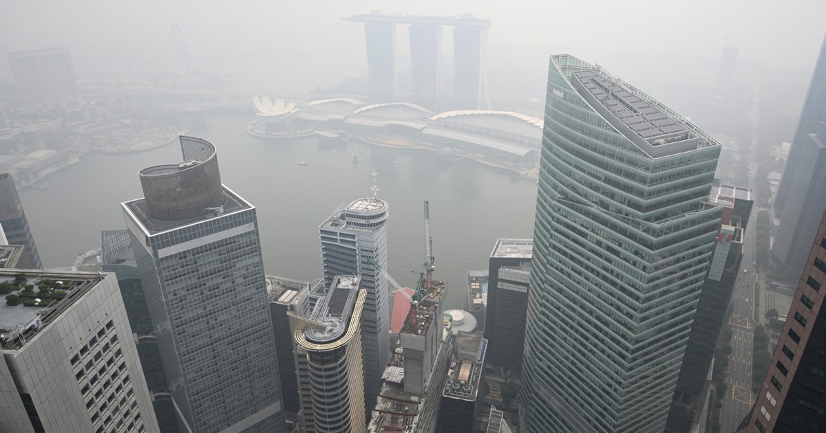 Singapore appoints specialist panel to investigate firms' haze links