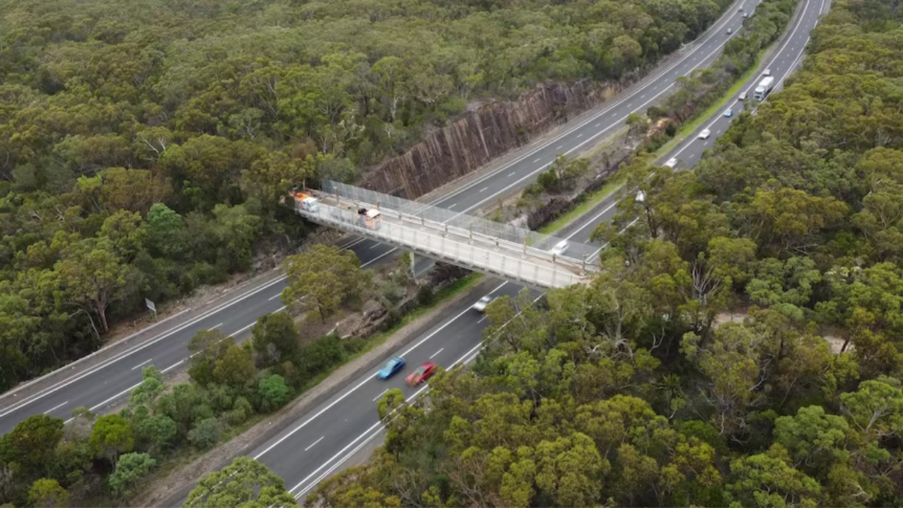Australia opens wildlife bridge after five decades of planning