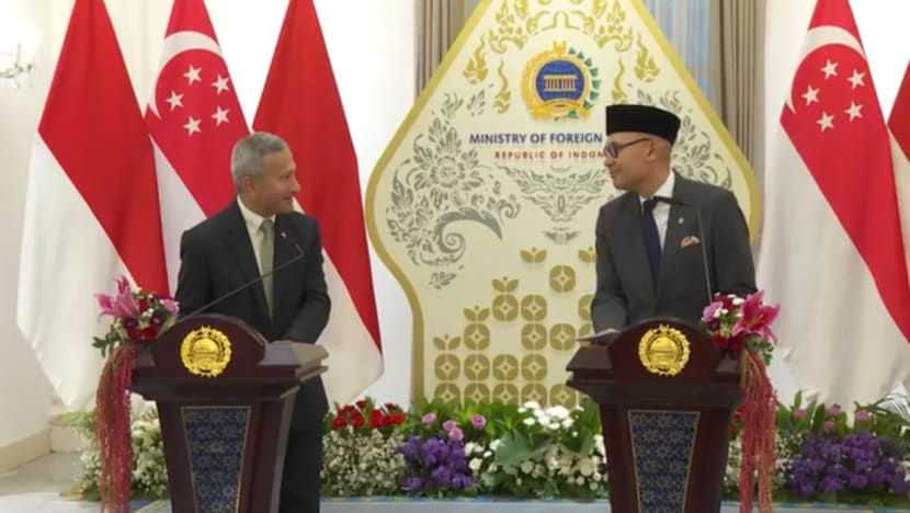 Singapore and Indonesia establish joint task force on forest fire accountability