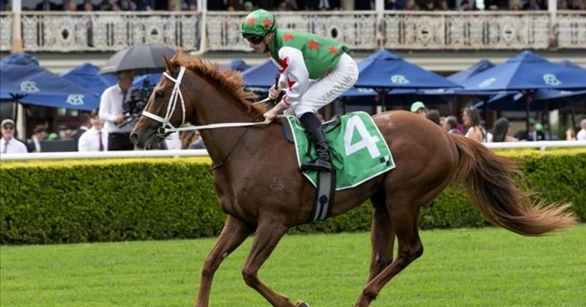 Wonka eyes Group 1 prize with 2,000m distance shift