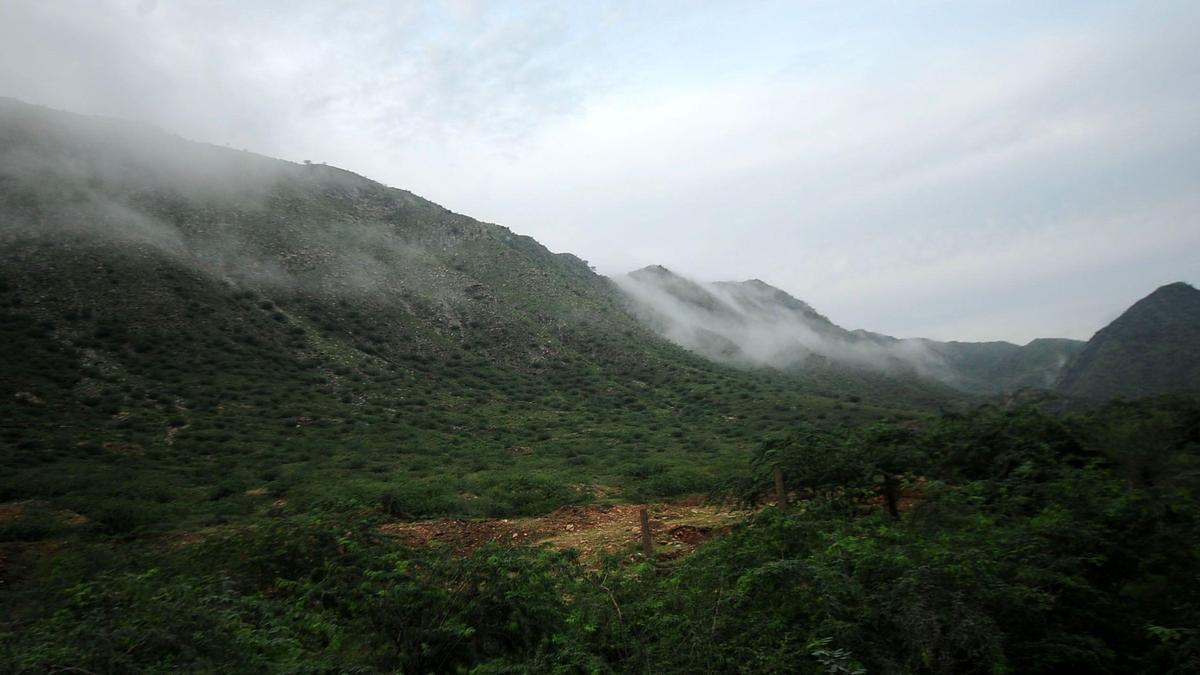 Conservationists challenge Aravalli panel over public consultation process