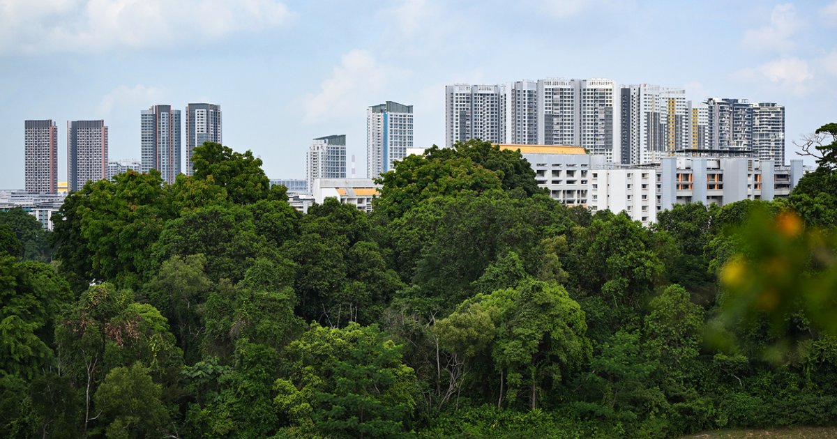 Singapore revises Maju Forest and Gillman Barracks plans to preserve more green space