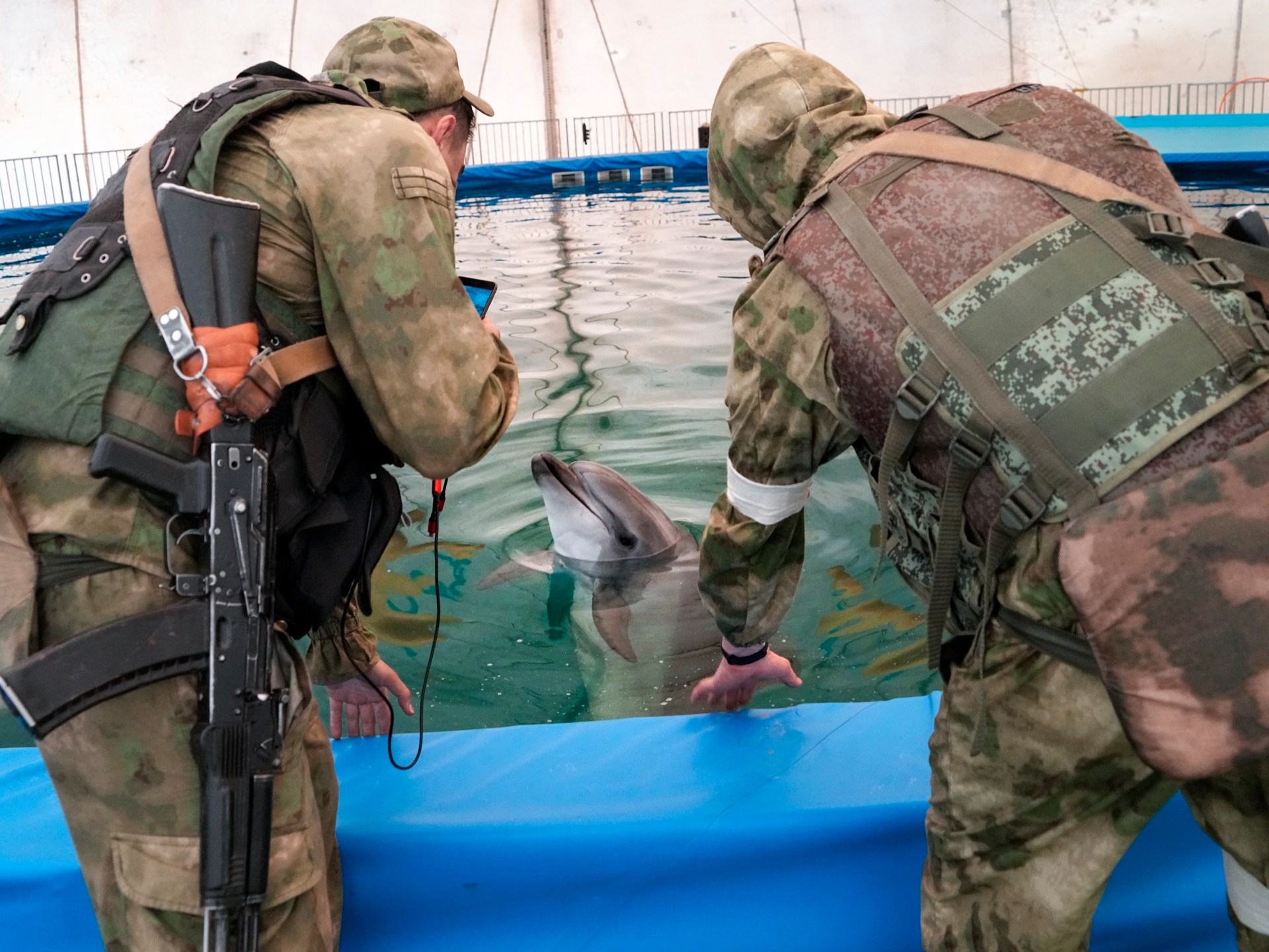 Russia-Ukraine conflict inflicts catastrophic damage on Black Sea ecosystem