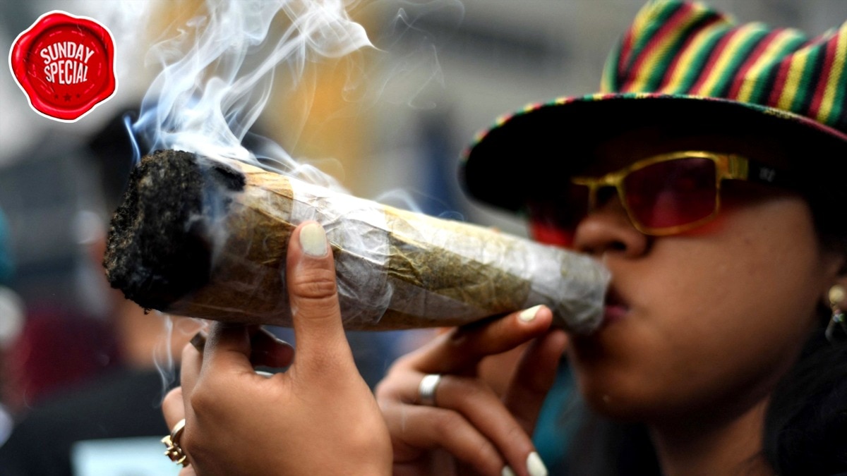 Delhi faces shortage of premium cannabis as supply chains disrupted