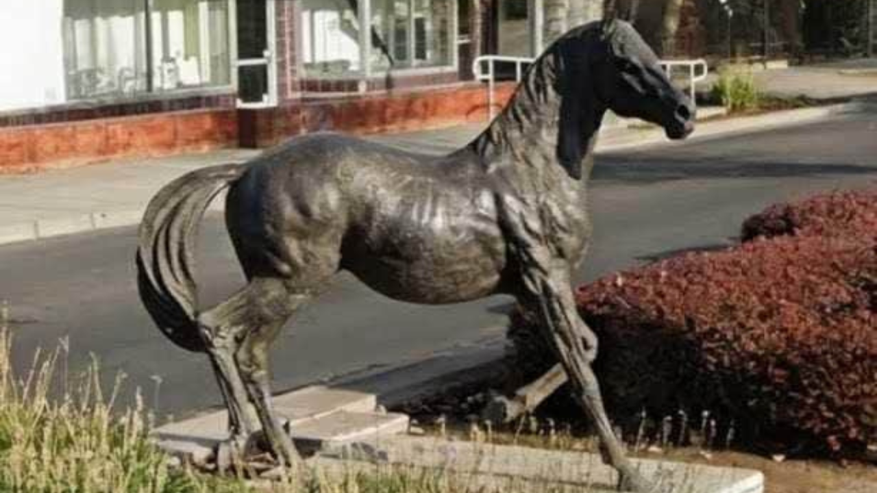 Thieves steal $80,000 statue of historic Kentucky Derby winner