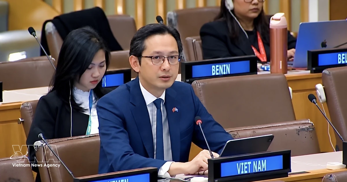 Vietnam, ASEAN push inclusive social development agenda at UN