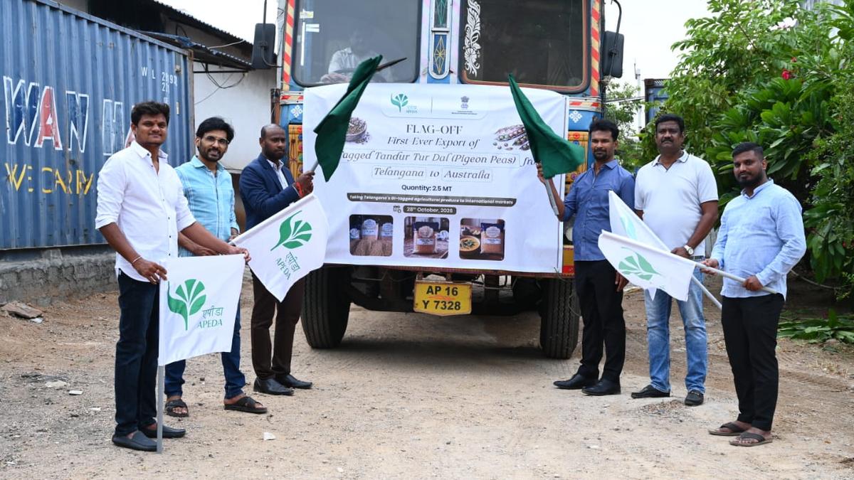 Telangana's prized Tandur red gram begins export journey to Australia