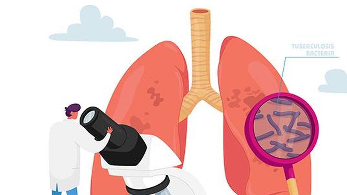 CCMB researchers create genetic tools to study tuberculosis mechanisms