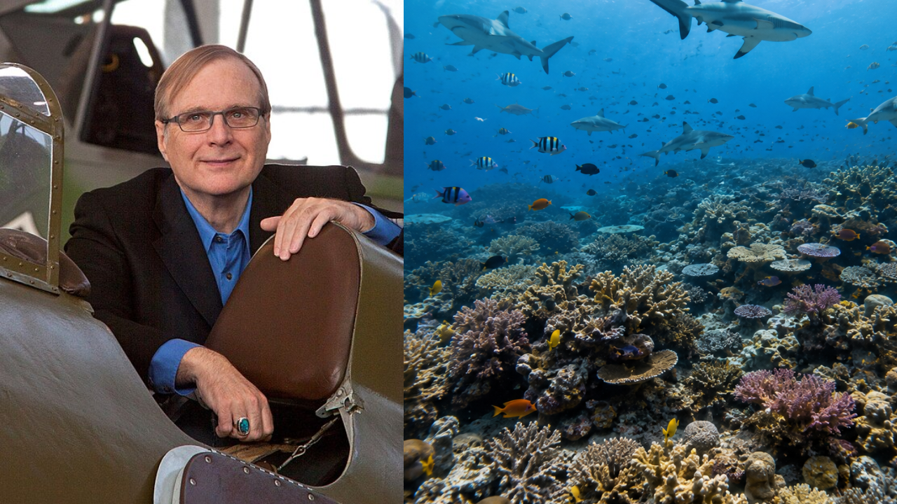 Global shark populations in crisis as one-fifth of reefs left depleted