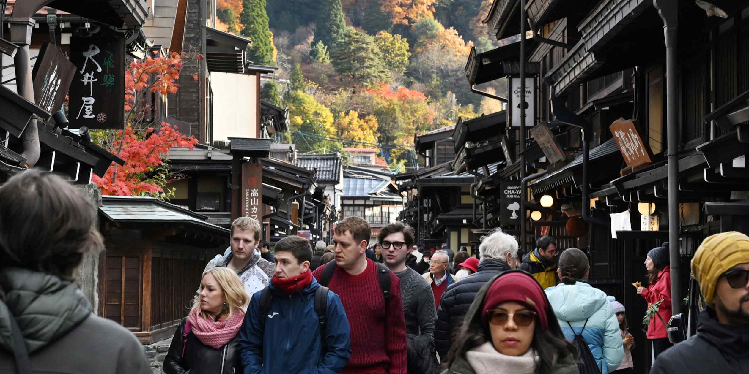 Autumn peak season reshapes Japan's tourism revenue calendar