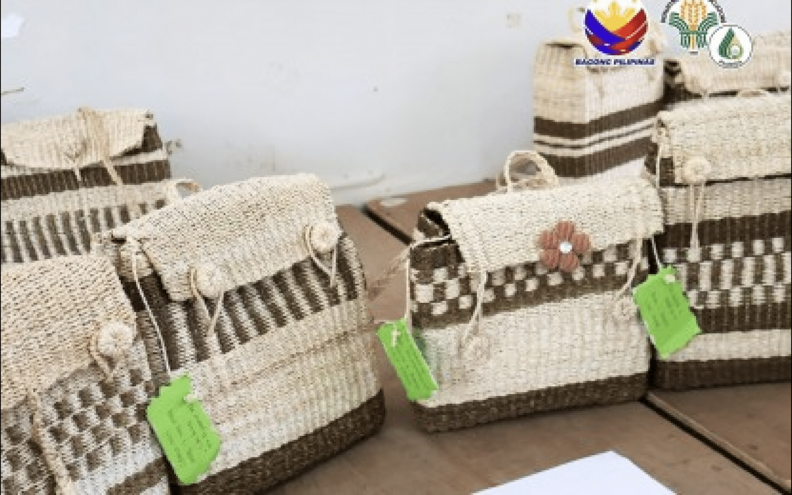 PhilFIDA promotes abaca bag-making as new livelihood option in Leyte