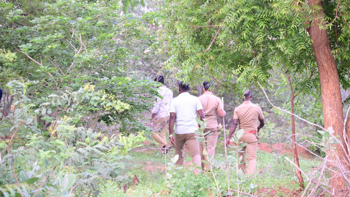 15 of 17 escapees recaptured in Theni prison break; manhunt continues