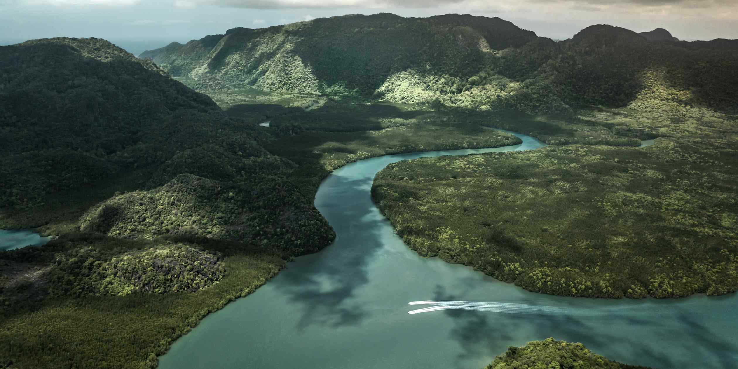 Scientists uncover secrets of Langkawi's pristine tropical ecosystem