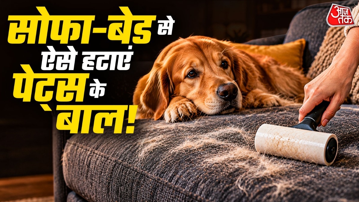 Tackling Pet Hair at Home: Seven Effective Cleaning Methods