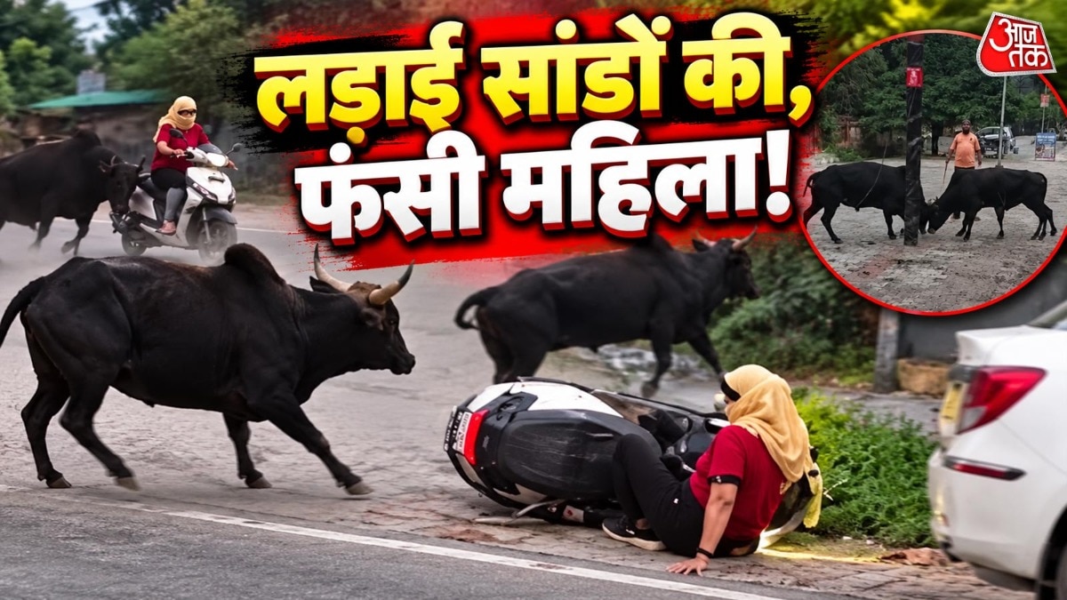 Woman on scooter caught in crossfire as bulls clash on Rishikesh road