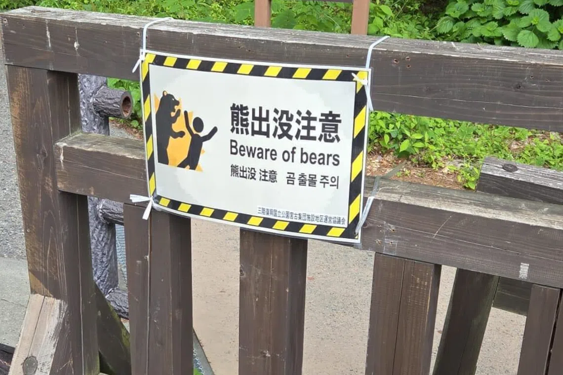 Foreign tourist airlifted to hospital after bear attack near Lake Towada