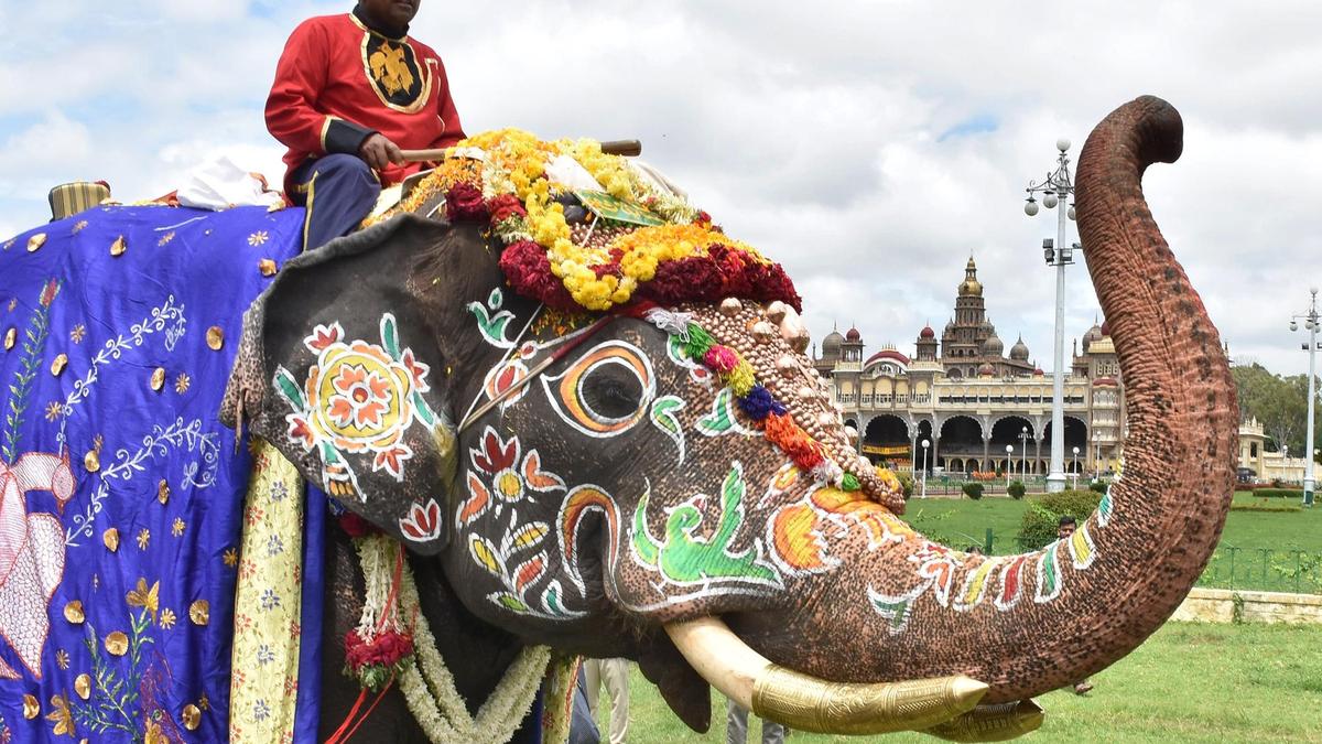 Beloved elephant Abhimanyu bids farewell in final Dasara procession
