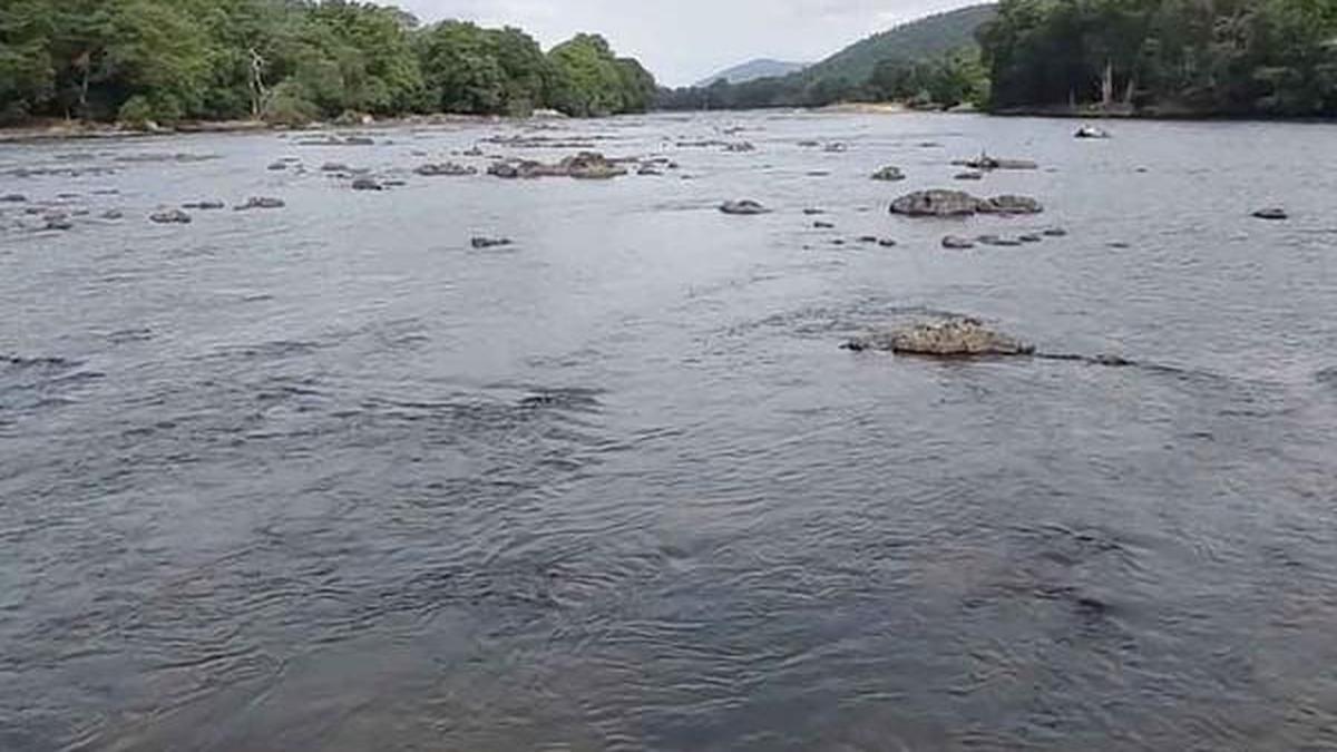 Karnataka seeks lower Cauvery water release quota ahead of key committee meeting