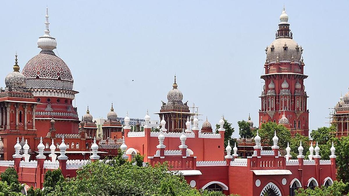 Madras HC penalises lawyer for frivolous plea on bypoll expenses