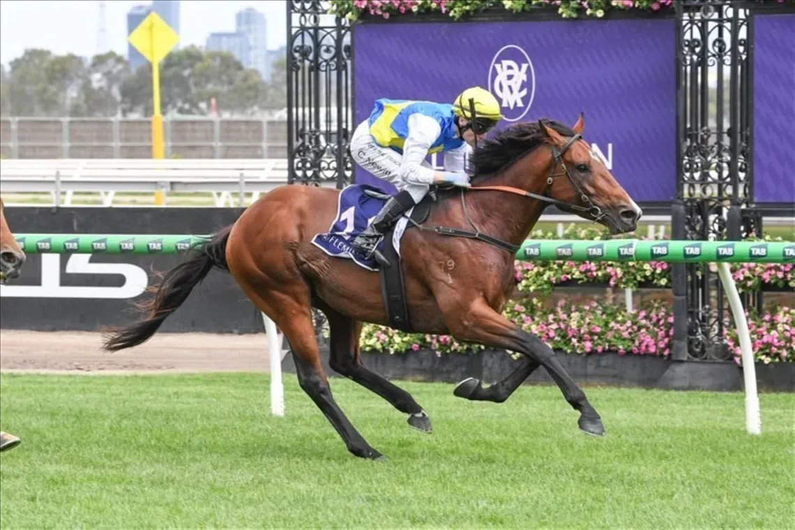 Australian racehorse Welcometotheshow heads to prestigious Toorak Stakes