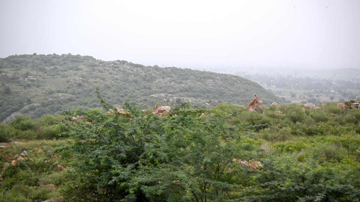 Supreme Court Rejects Aravalli Panel Extension, Demands November Report