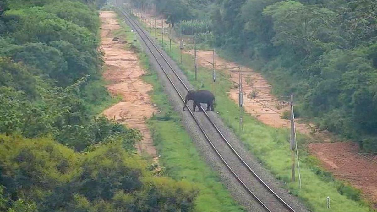 Indian Railways deploys AI to detect wheel defects and prevent wildlife collisions