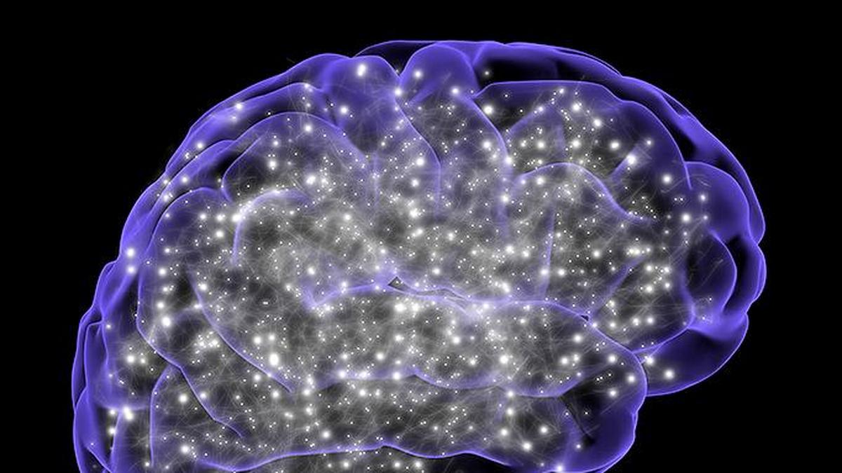 Environmental lead exposure causes significant neuronal damage, finds ICMR study