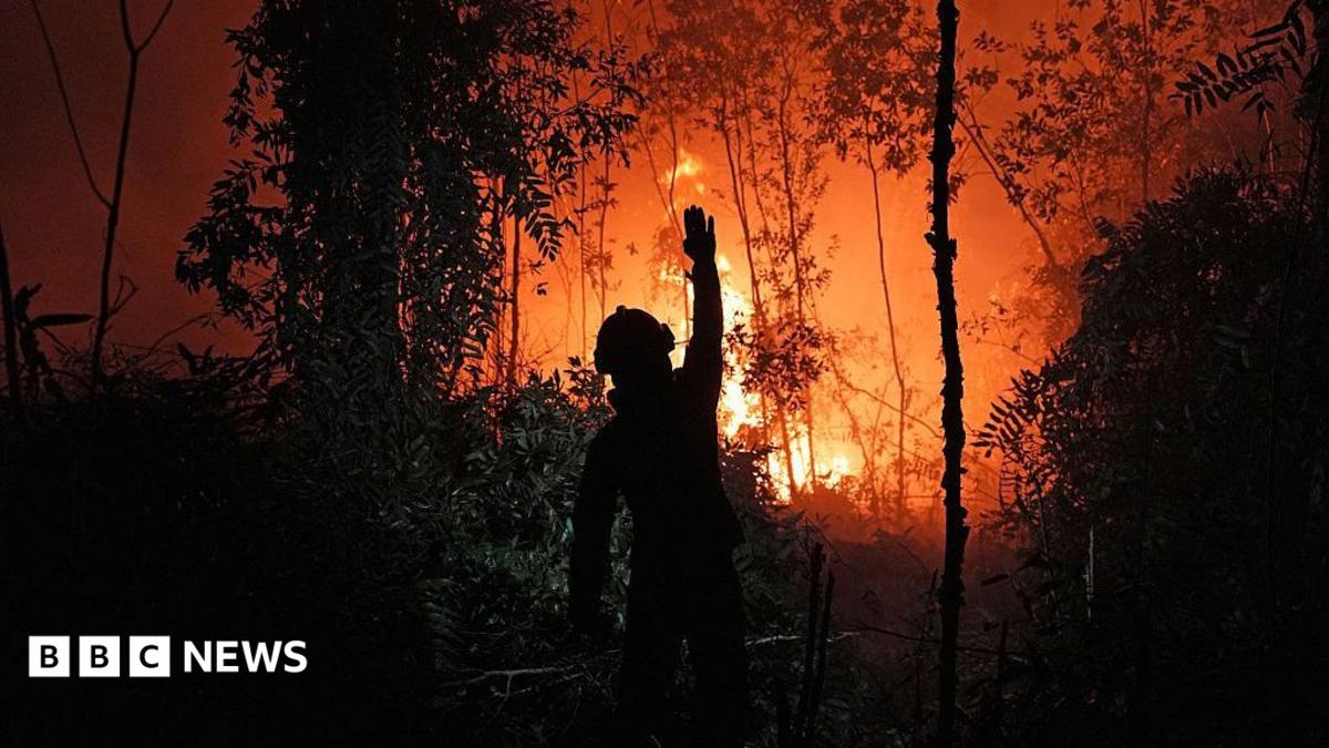 Corporate negligence and weak enforcement blamed for Southeast Asia's air crisis