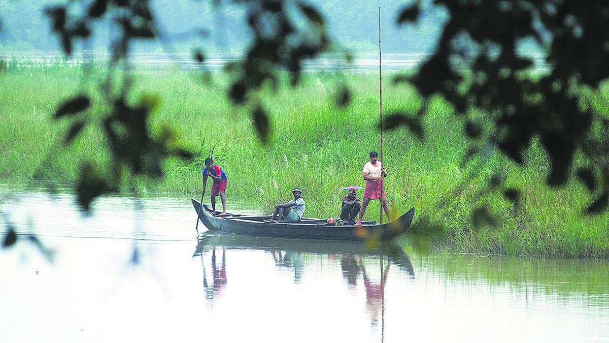 Body of woman recovered from swollen river in Kerala's Kozhikode