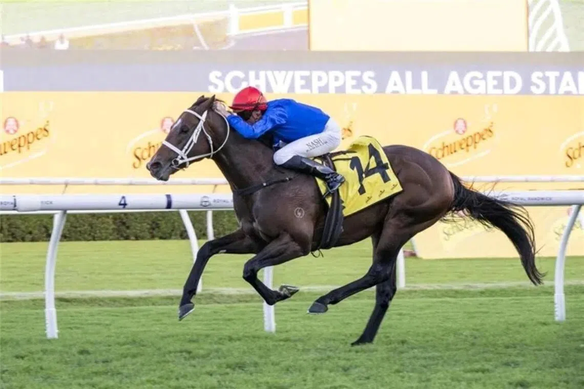 Waller fields five horses in bid for Memsie Stakes victory