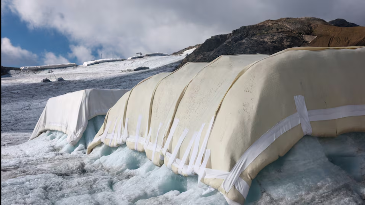 Swiss Scientists Test Sheep's Wool to Slow Glacier Melting