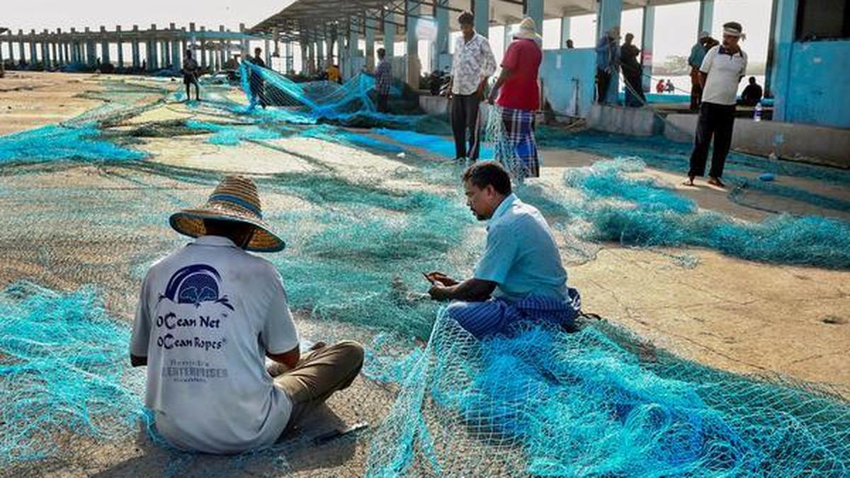 India's fishing industry faces crisis as catches plummet, policy stalls