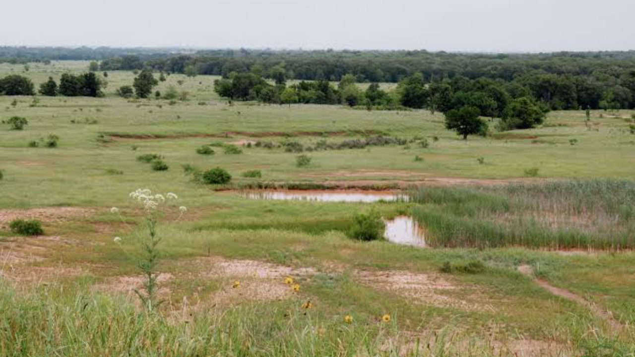 Texas court strikes down Lake Ringgold reservoir permit after 68-year saga