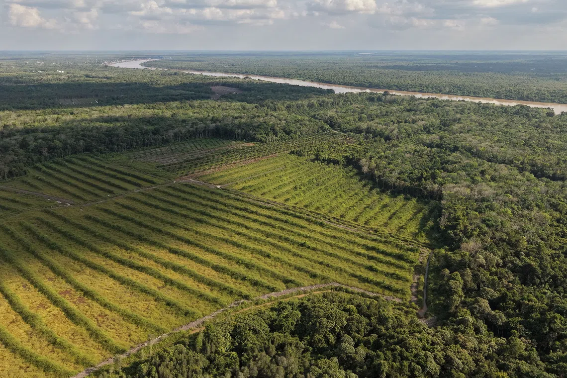 Indonesia passes landmark legislation to tackle persistent land dispute crisis