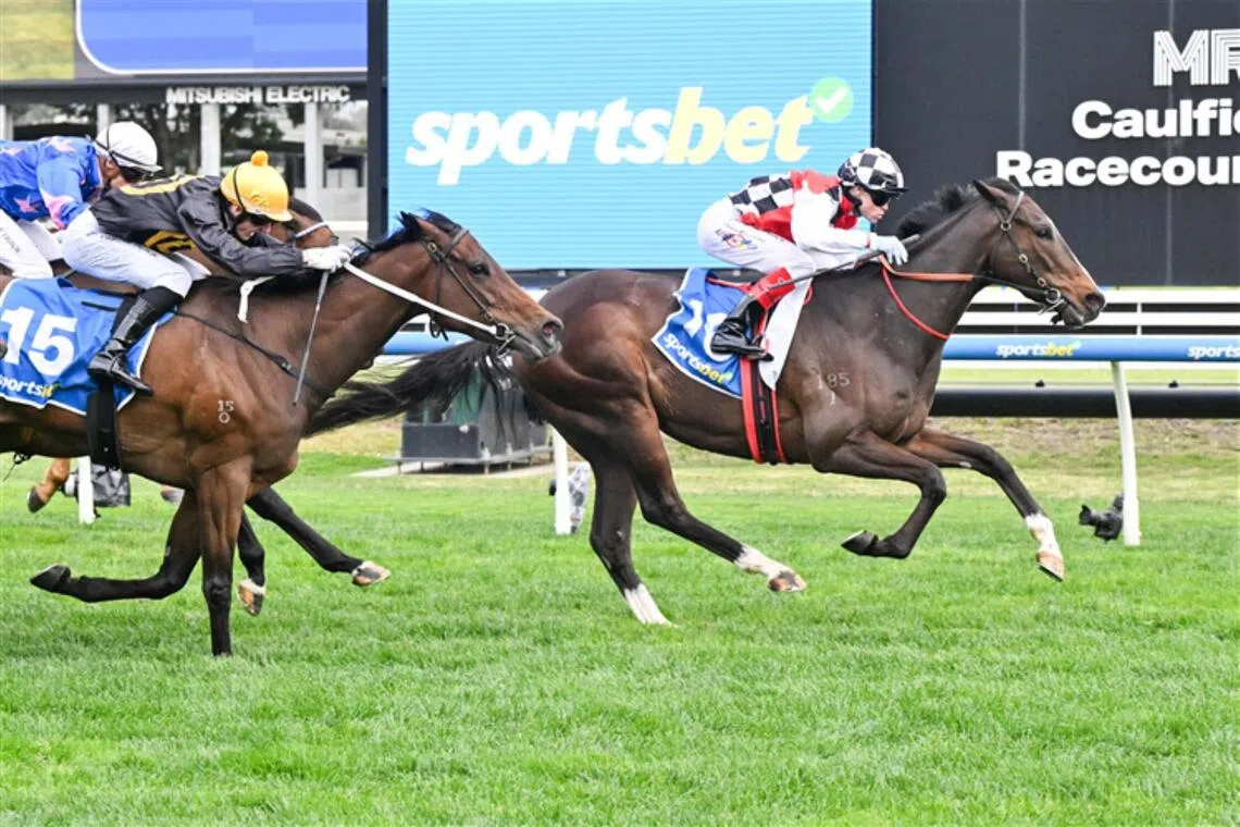 Brown targets more Group 1 success with star racing pair