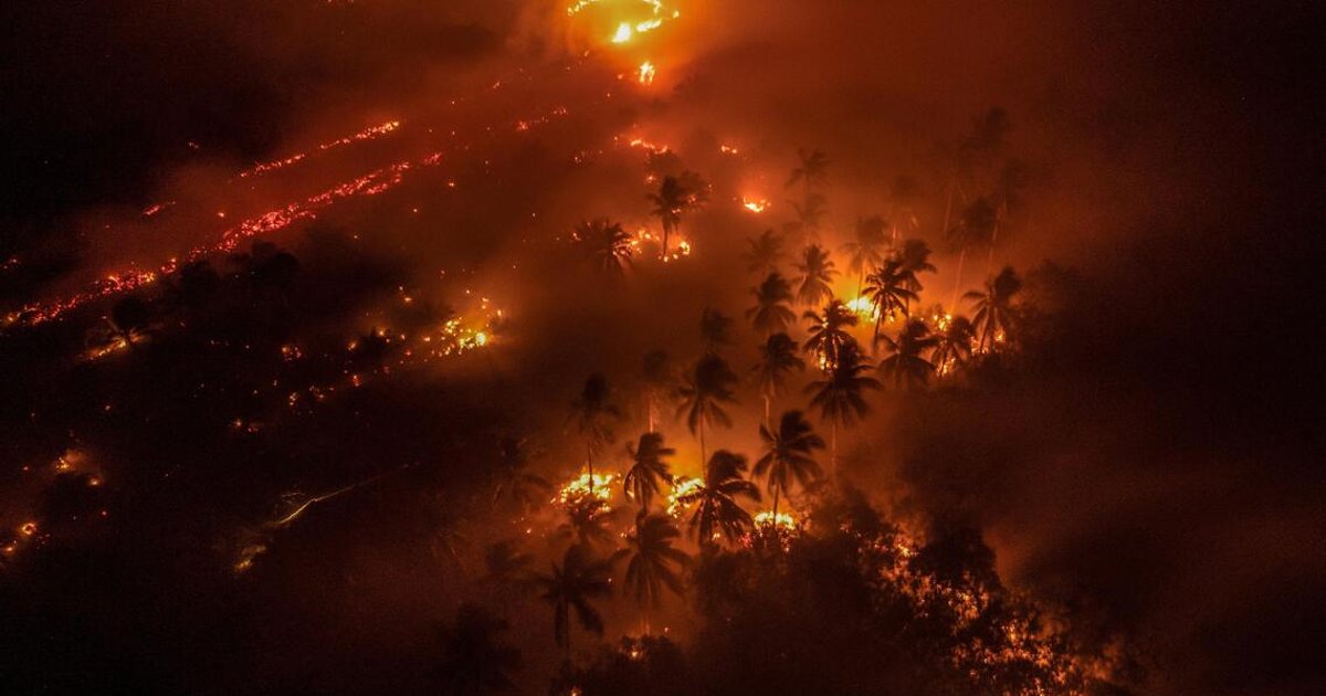 Indonesia tackles peatland fires with restoration pledge