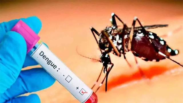Dengue deaths mount to 73 as Sri Lanka battles outbreak