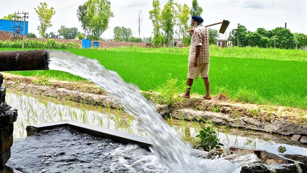 Punjab's groundwater depletion deepens economic and social inequality