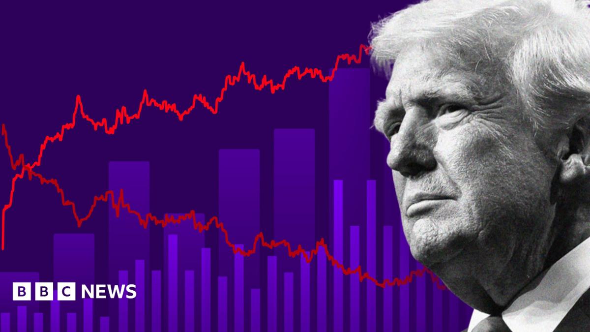 US midterm elections set stage for Trump's final presidential term
