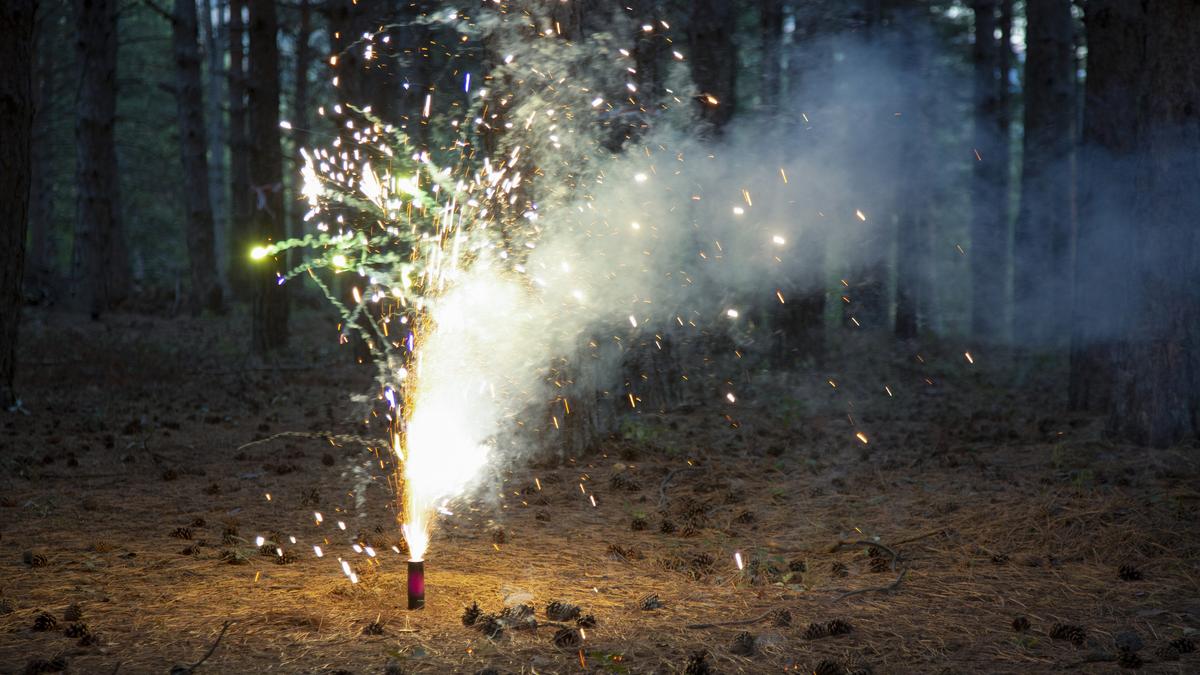 West Bengal restricts firecracker use during Kali Puja-Diwali festivities
