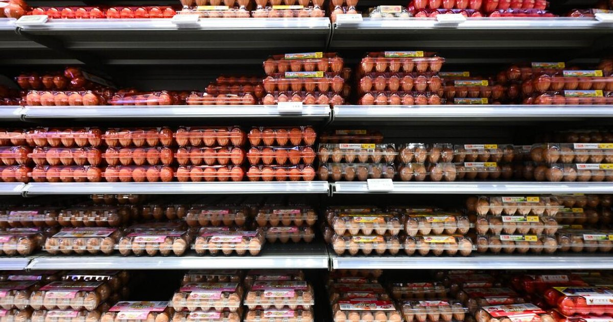 Singapore maintains egg supply security as Thailand curtails exports