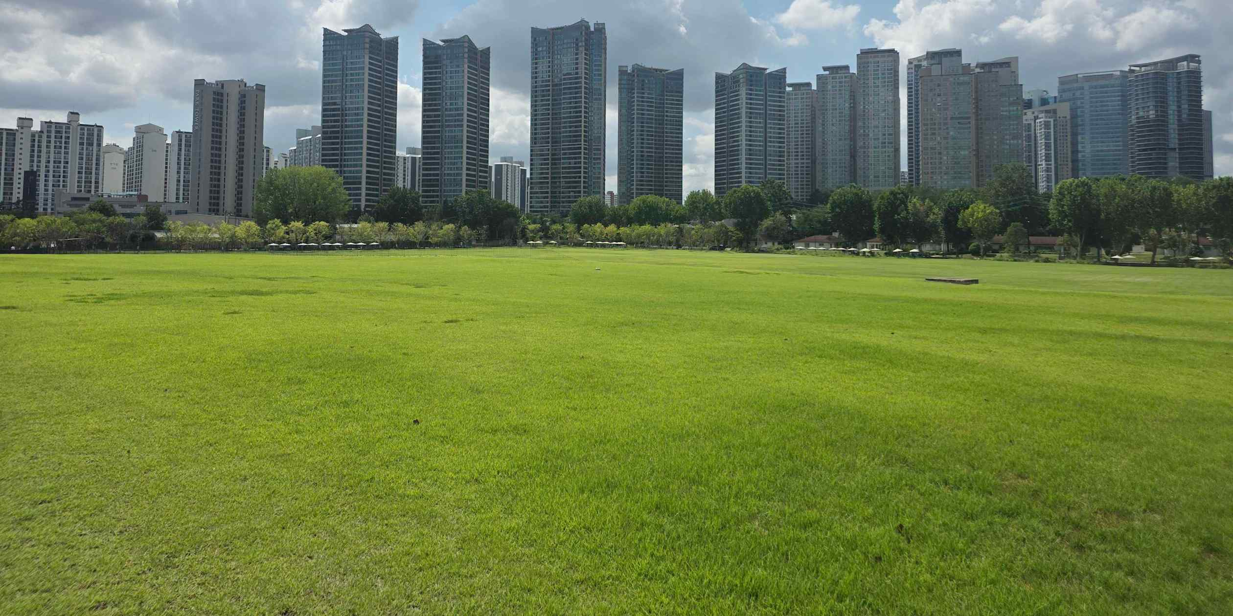 Seoul's green space ambitions collide with housing shortage crisis