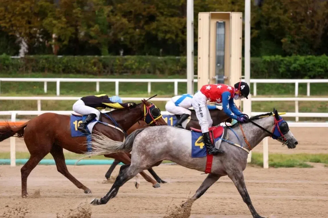 Ziggurat seeks to extend winning streak in upcoming fixture