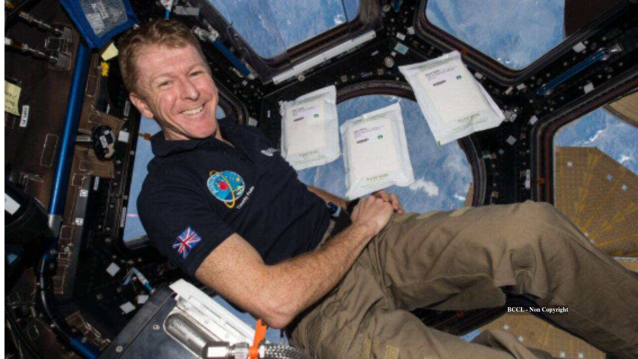 Space-grown seeds show promise for Mars missions despite slower growth